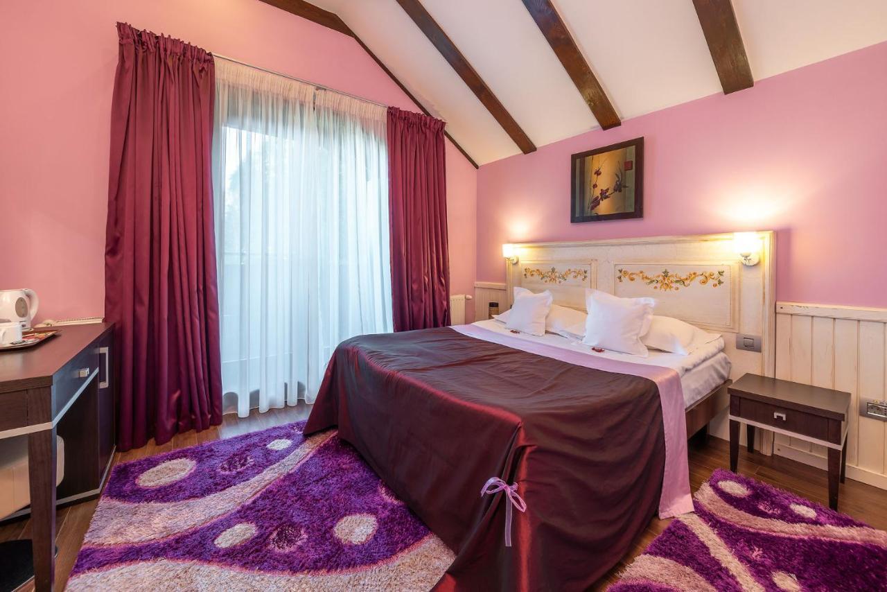 Hotel Casa Freya Buşteni Zewnętrze zdjęcie