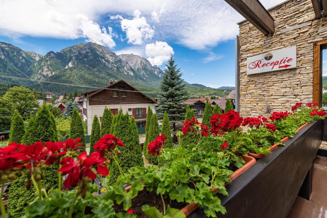 Hotel Casa Freya Buşteni Zewnętrze zdjęcie